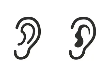 Ear shapes